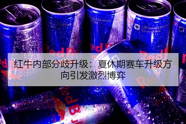 hong-niu-nei-bu-fen-qi-sheng-ji-xia-xiu-qi-sai-che-sheng-ji-fang-xiang-yin-fa-ji-lie-bo-yi-3-336.jpg