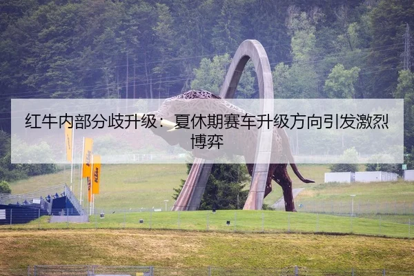 红牛内部分歧升级：夏休期赛车升级方向引发激烈博弈