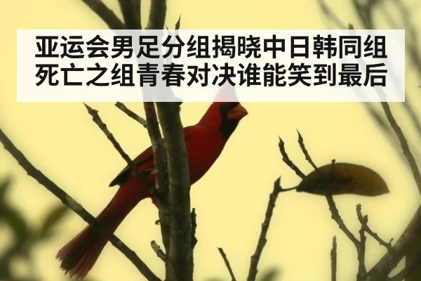 亚运会男足分组揭晓中日韩同组死亡之组青春对决谁能笑到最后